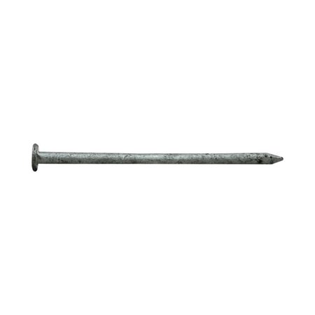 PRO-FIT Common Nail, 2-1/2 in L, 8D, Hot Dipped Galvanized Finish 0054155